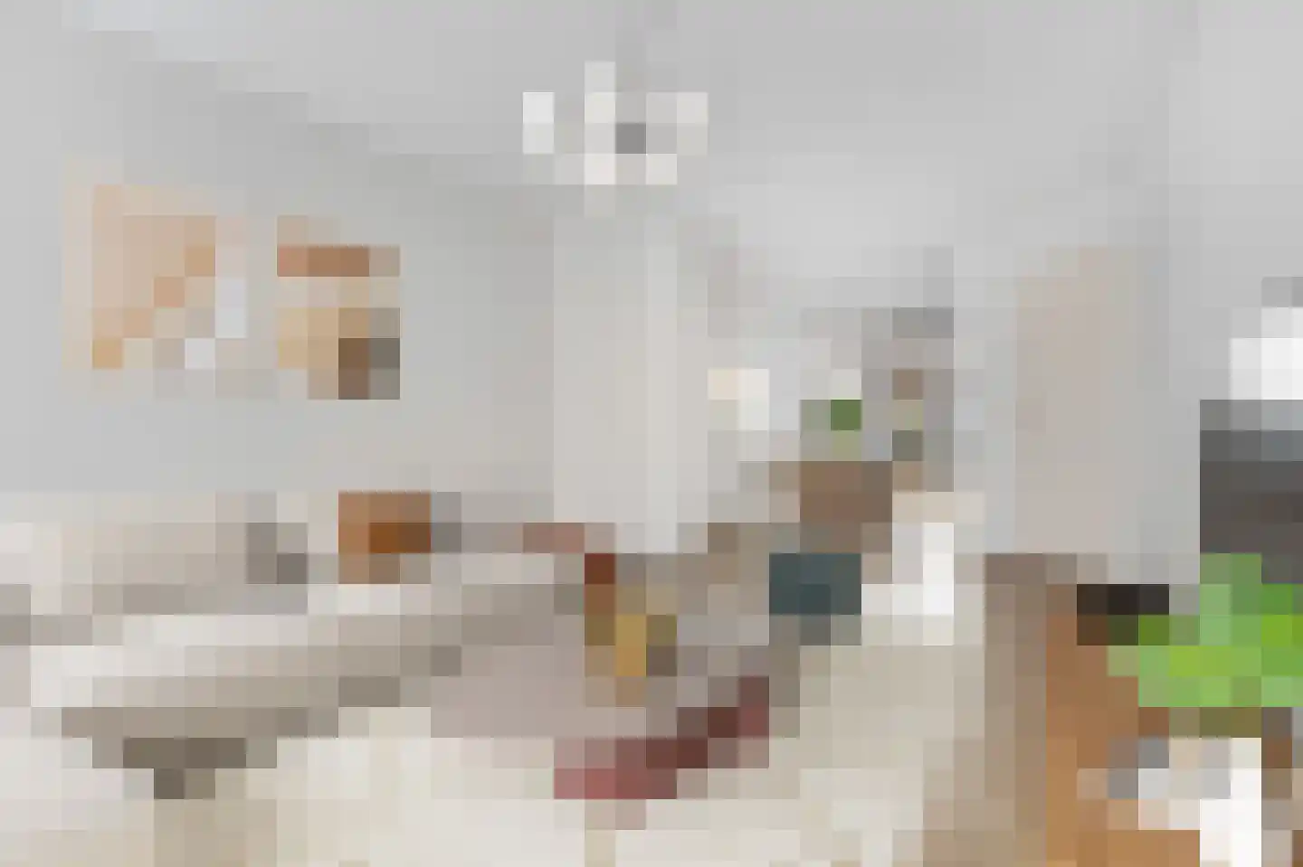 Amazonenstraat 12 1 Amsterdam thumbnail 4