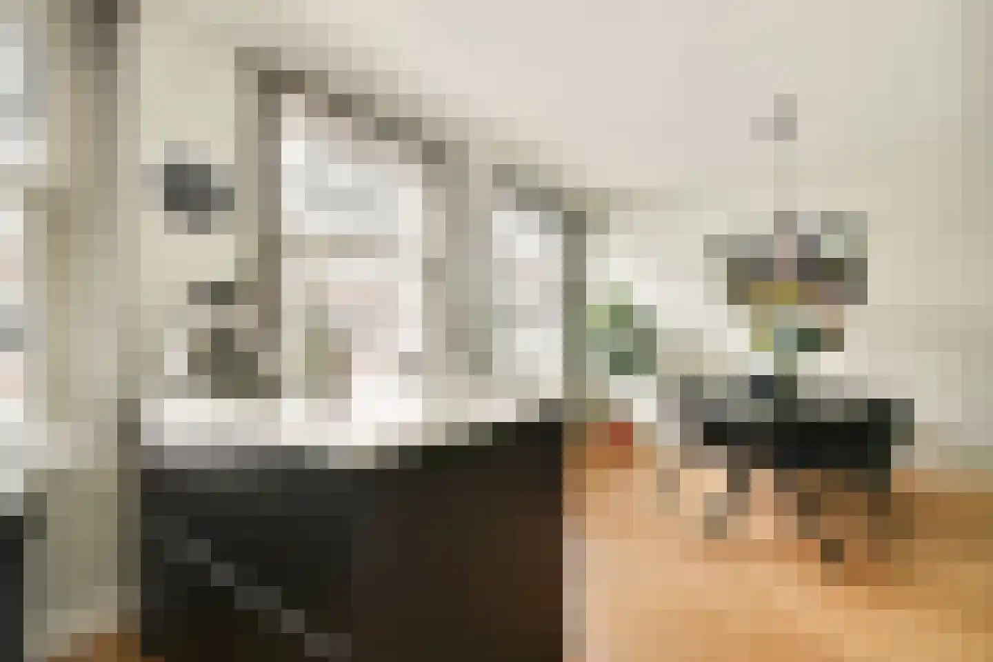 Amazonenstraat 13 2 Amsterdam thumbnail 12