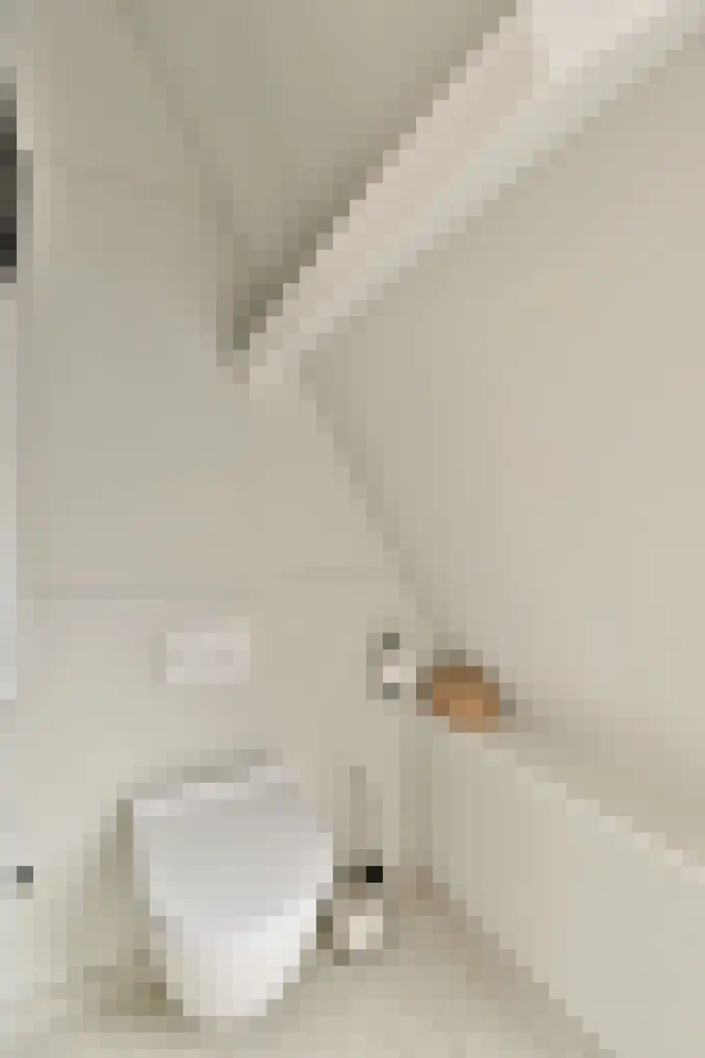Amazonenstraat 13 2 Amsterdam thumbnail 32