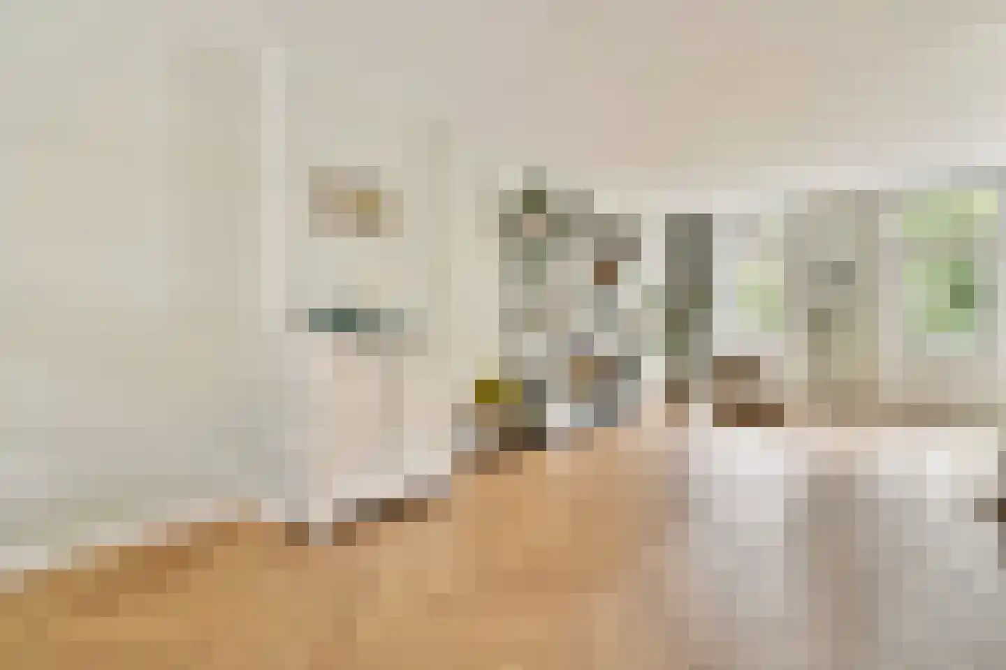 Amazonenstraat 13 2 Amsterdam thumbnail 5