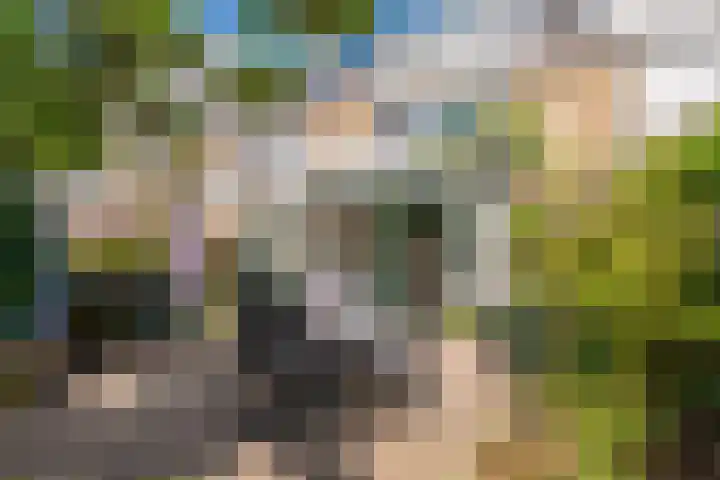 Amazonenstraat 22 3 Amsterdam thumbnail 15