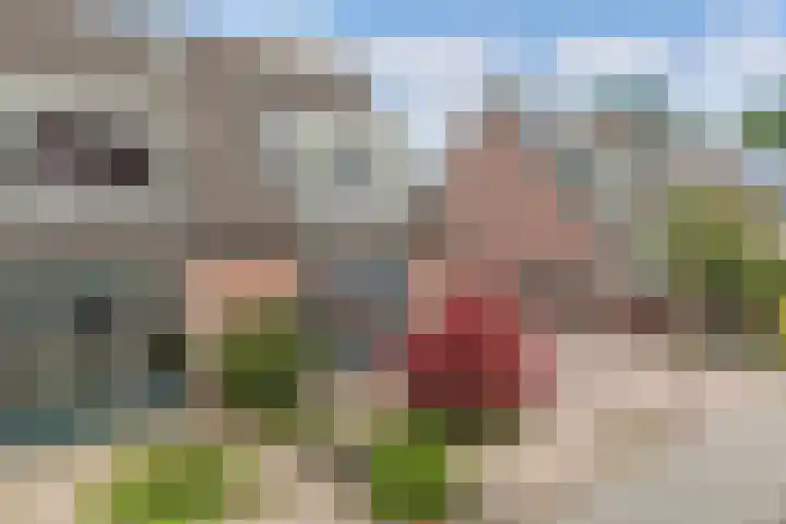 Amazonenstraat 22 3 Amsterdam thumbnail 36