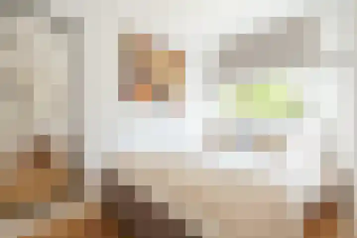 Amazonenstraat 29 2 Amsterdam thumbnail 15