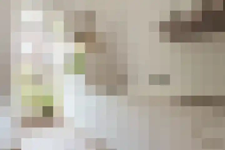 Amazonenstraat 29 2 Amsterdam thumbnail 9