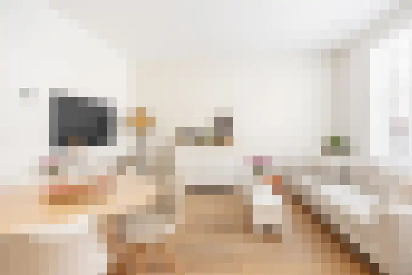 Amazonenstraat 3 1 Amsterdam thumbnail 6