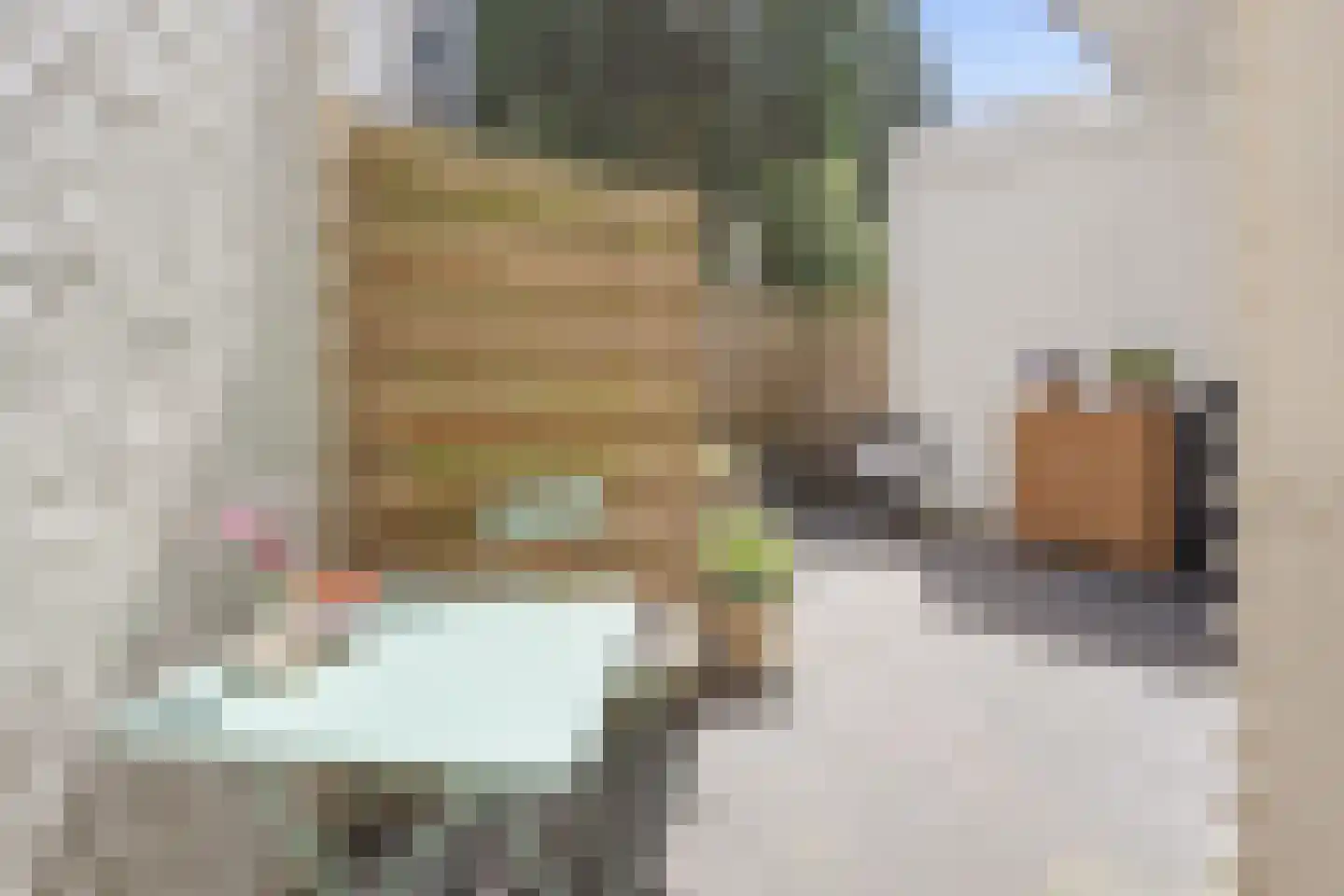 Amazonenstraat 3 2 Amsterdam thumbnail 19
