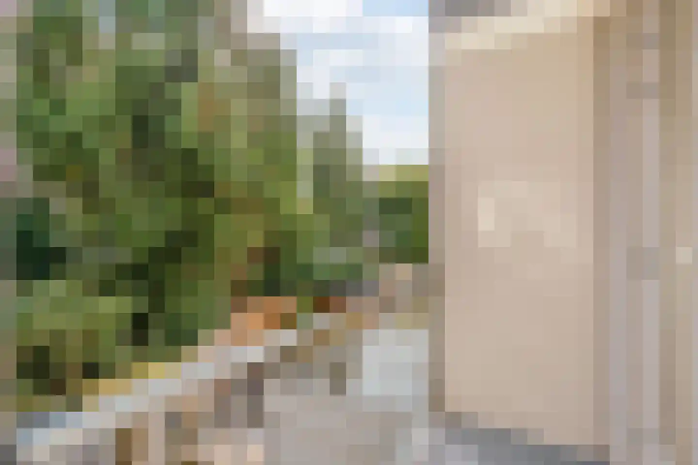 Amazonenstraat 3 2 Amsterdam thumbnail 21