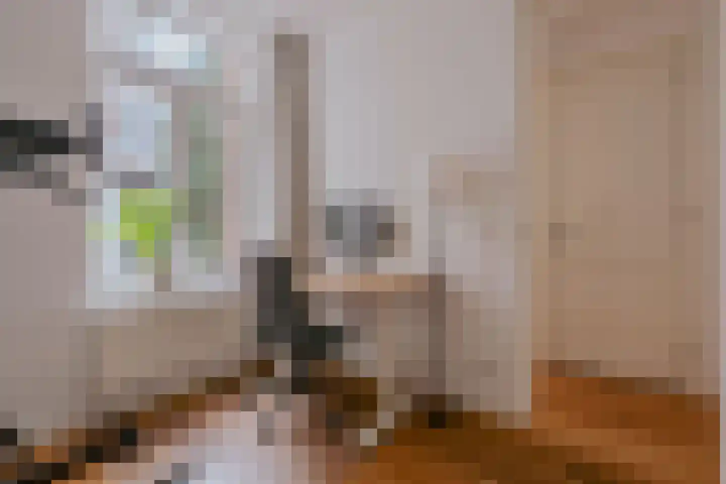 Amazonenstraat 3 2 Amsterdam thumbnail 25