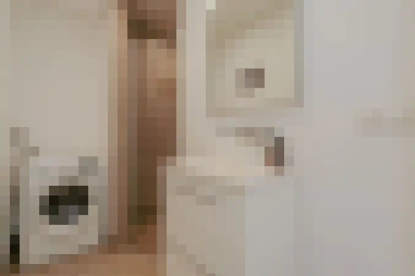 Amazonenstraat 3 2 Amsterdam thumbnail 26