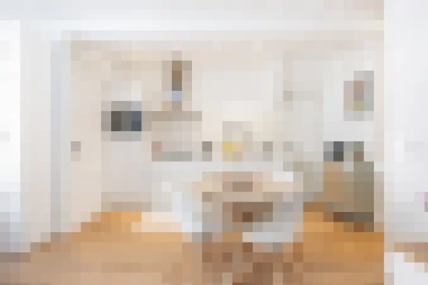Amazonenstraat 3 2 Amsterdam thumbnail 8