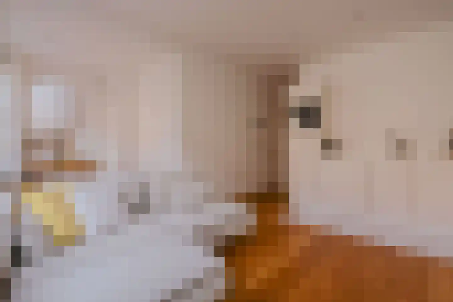 Amazonenstraat 3 2 Amsterdam thumbnail 9