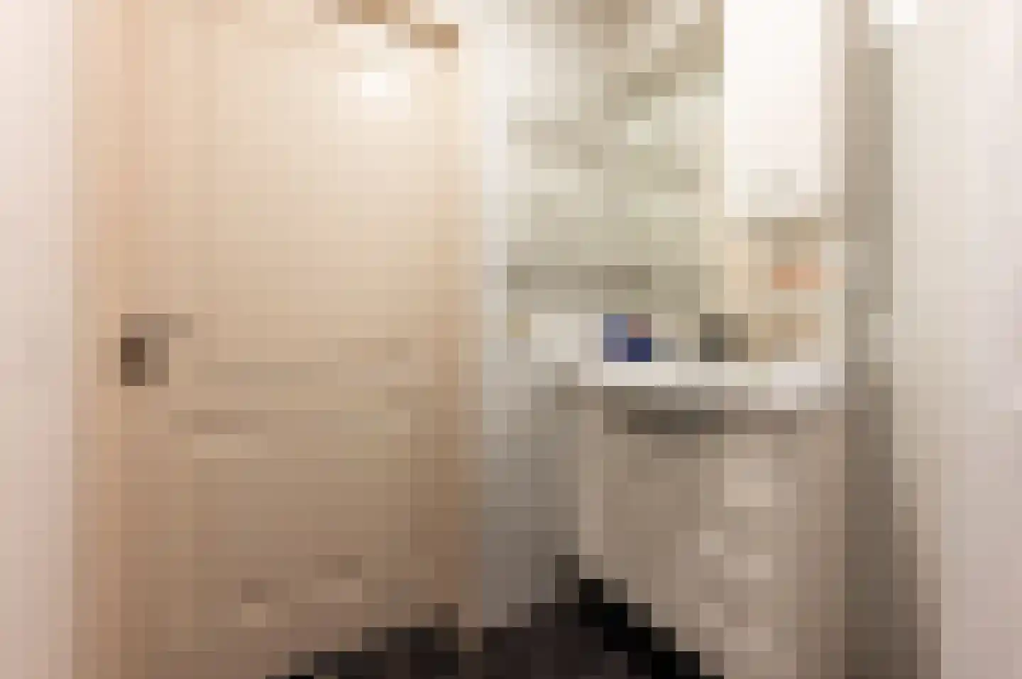 Amazonenstraat 41 H Amsterdam thumbnail 22