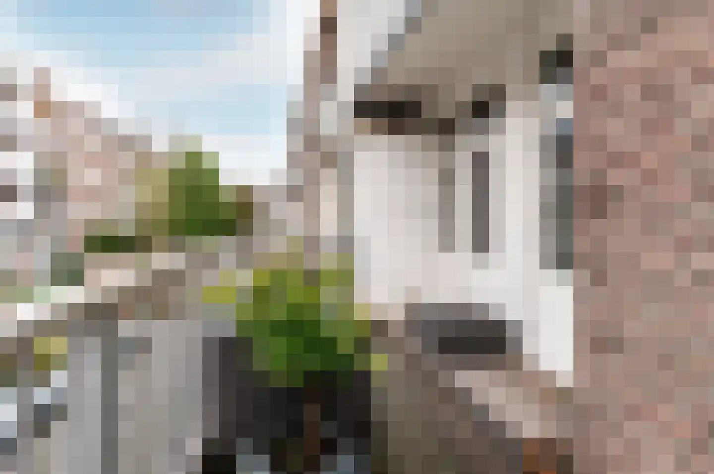 Amazonenstraat 41 H Amsterdam thumbnail 25