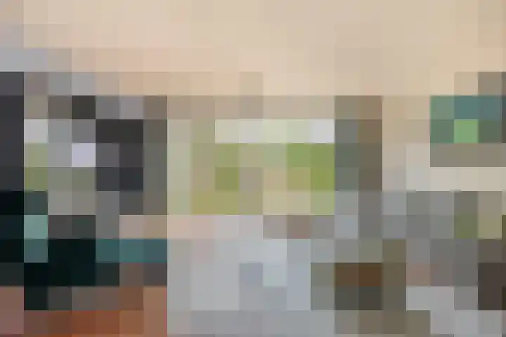 Amazonestraat 15 Spijkenisse thumbnail 10