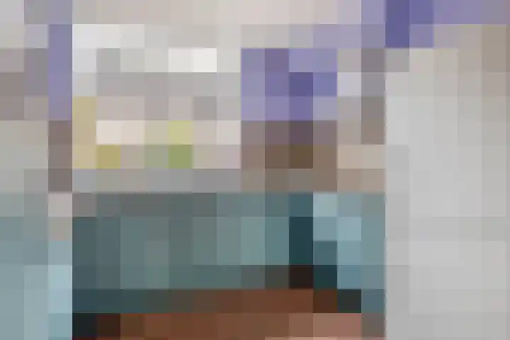 Amazonestraat 15 Spijkenisse thumbnail 13