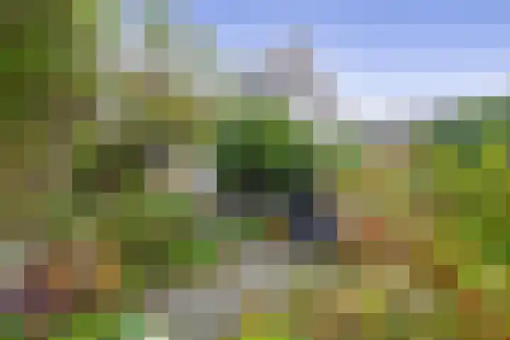 Amazonestraat 15 Spijkenisse thumbnail 16