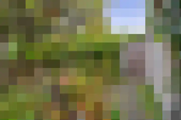 Amazonestraat 15 Spijkenisse thumbnail 17