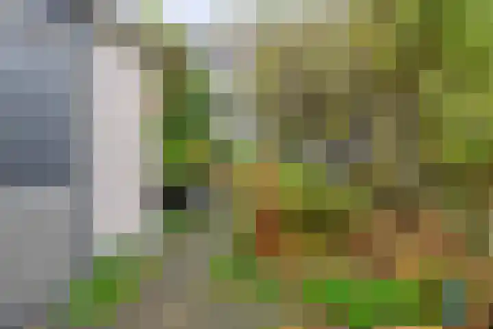 Amazonestraat 15 Spijkenisse thumbnail 18