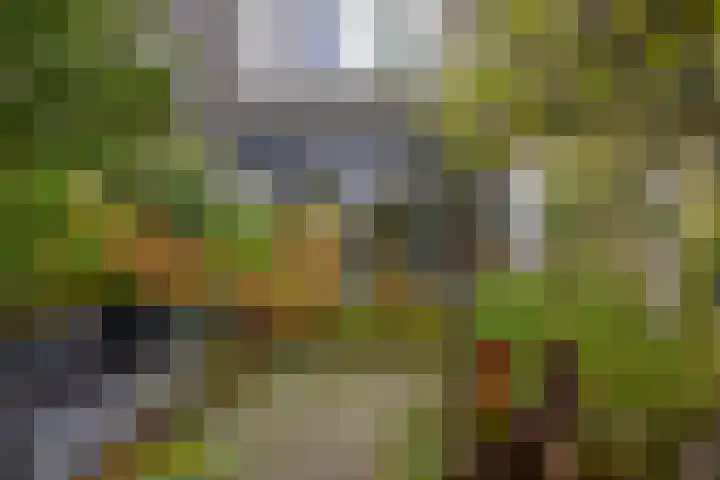 Amazonestraat 15 Spijkenisse thumbnail 19