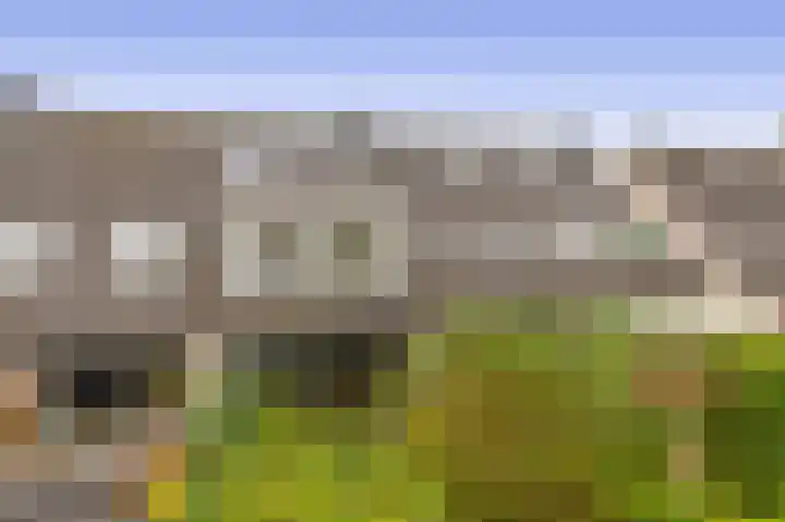 Amazonestraat 15 Spijkenisse thumbnail 20
