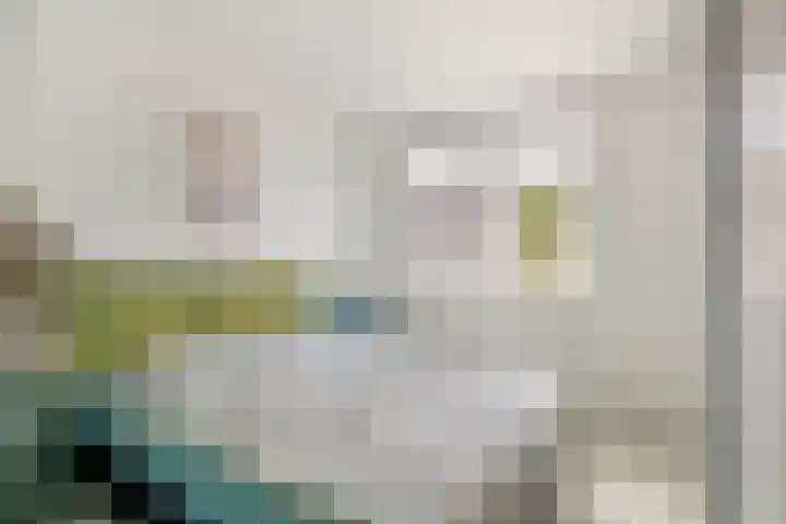 Amazonestraat 15 Spijkenisse thumbnail 22