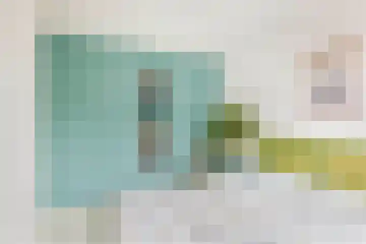 Amazonestraat 15 Spijkenisse thumbnail 23