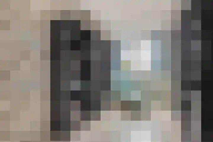 Amazonestraat 15 Spijkenisse thumbnail 26