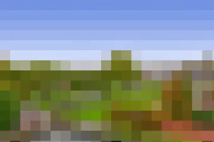 Amazonestraat 15 Spijkenisse thumbnail 29