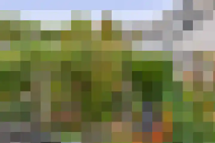 Amazonestraat 15 Spijkenisse thumbnail 30