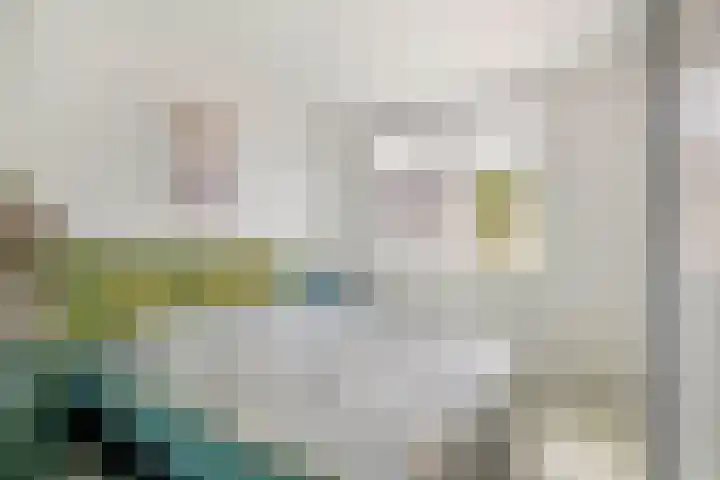 Amazonestraat 15 Spijkenisse thumbnail 4