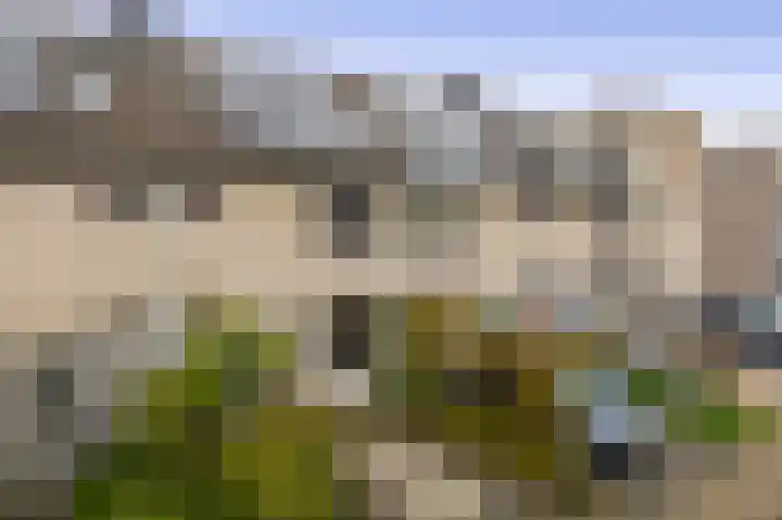 Amazonestraat 15 Spijkenisse thumbnail 5