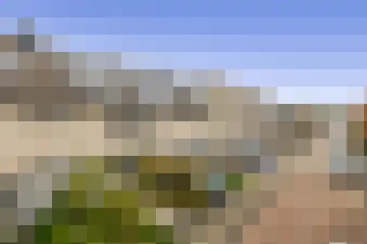 Amazonestraat 15 Spijkenisse thumbnail 6