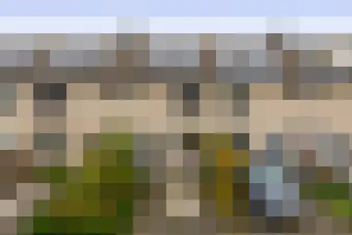 Amazonestraat 15 Spijkenisse thumbnail 7