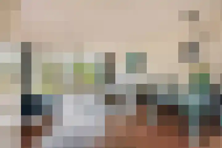 Amazonestraat 15 Spijkenisse thumbnail 9