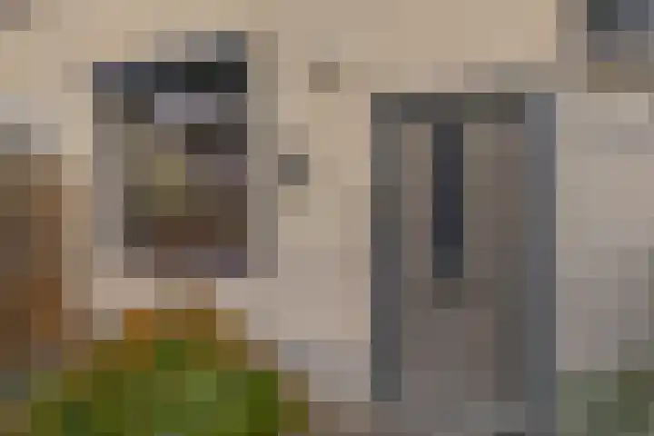 Amazonestraat 17 Spijkenisse thumbnail 10