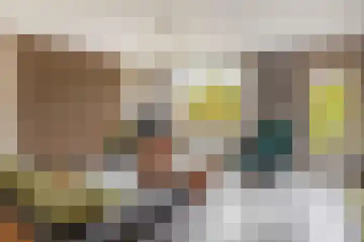 Amazonestraat 17 Spijkenisse thumbnail 12