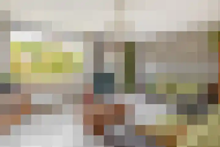 Amazonestraat 17 Spijkenisse thumbnail 13