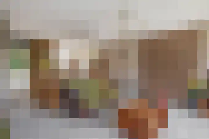 Amazonestraat 17 Spijkenisse thumbnail 15
