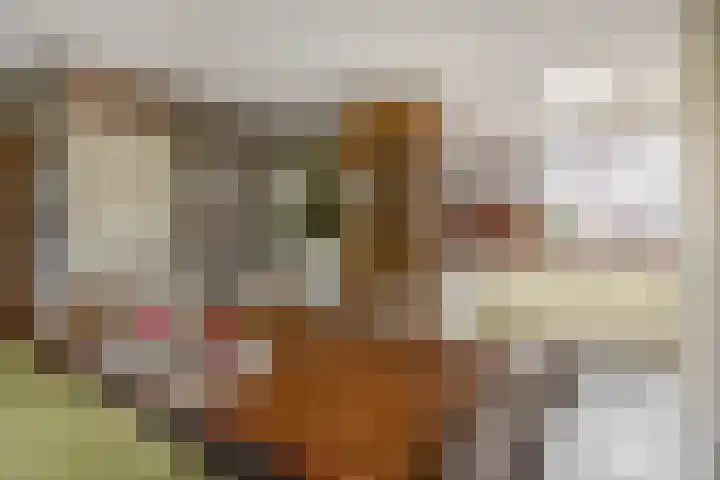 Amazonestraat 17 Spijkenisse thumbnail 16