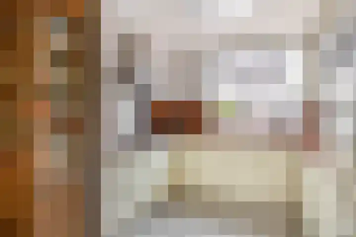 Amazonestraat 17 Spijkenisse thumbnail 17