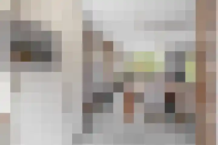 Amazonestraat 17 Spijkenisse thumbnail 19