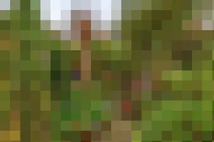 Amazonestraat 17 Spijkenisse thumbnail 21
