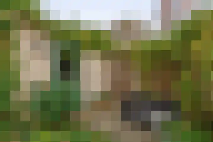 Amazonestraat 17 Spijkenisse thumbnail 22