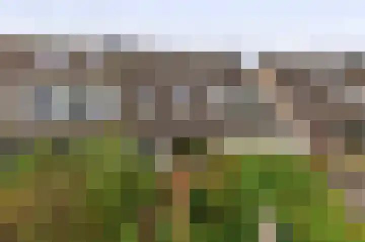 Amazonestraat 17 Spijkenisse thumbnail 24