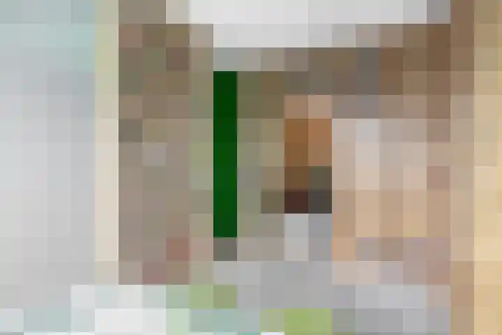Amazonestraat 17 Spijkenisse thumbnail 32