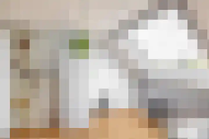 Amazonestraat 17 Spijkenisse thumbnail 36