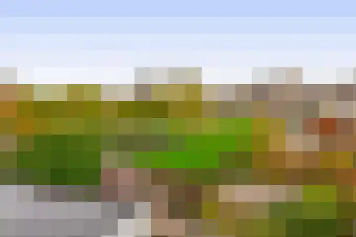 Amazonestraat 17 Spijkenisse thumbnail 38