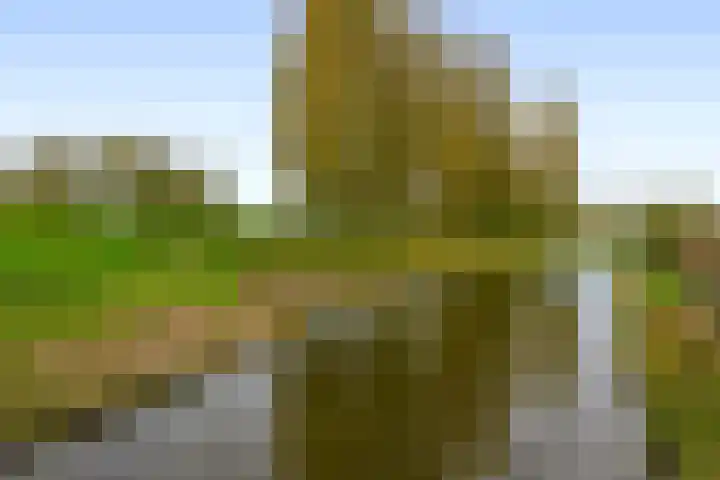 Amazonestraat 17 Spijkenisse thumbnail 39