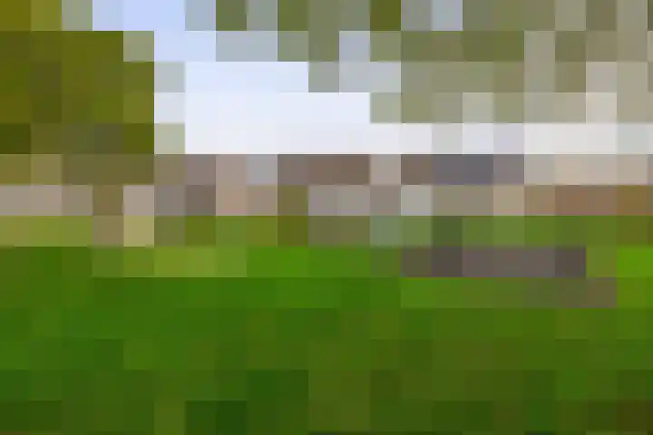 Amazonestraat 17 Spijkenisse thumbnail 41