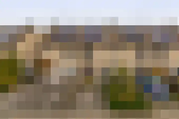 Amazonestraat 17 Spijkenisse thumbnail 6